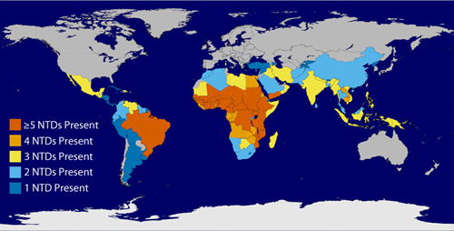 Global Overlap of Six of the Common Neglected Tropical Diseases (NTDs):: Specifically guinea worm disease, lymphatic filariasis, onchocerciasis, schistosomiasis, soil-transmitted helminths, trachoma. Soil-transmitted helminth infections can be caused by three different worms, all treated the same way. Image Courtesy Division of Parasitic Diseases, Centers for Disease Control and Prevention (CDC)